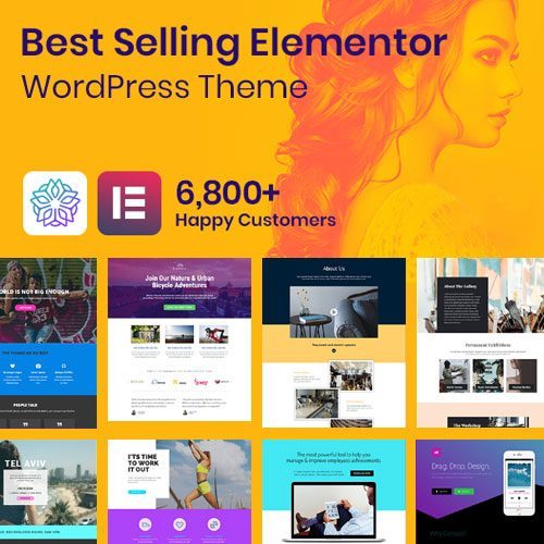 Phlox-Pro-Elementor-MultiPurpose-WordPress-Theme-1