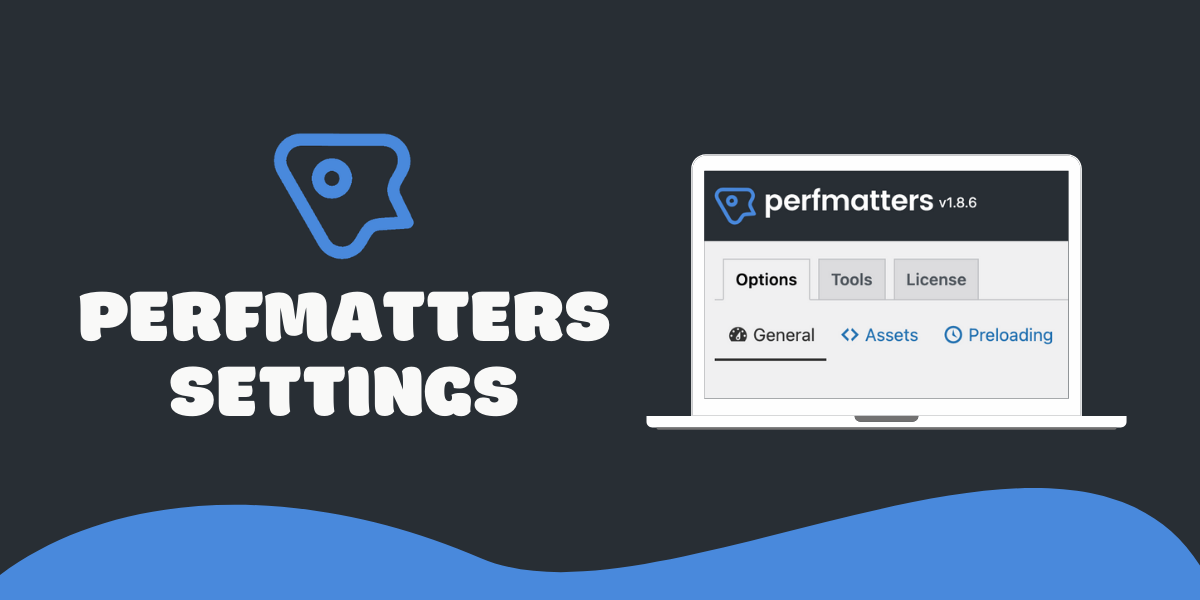 Perfmatters-Settings-5